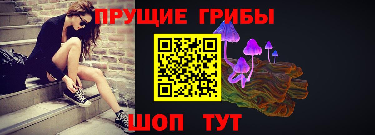 Югорск  Галлюциногенные грибы Cubensis  Вход с VPN 